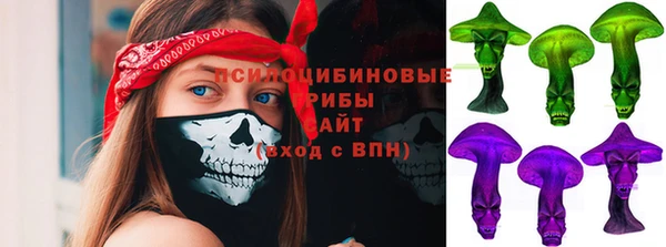 a pvp Богородицк