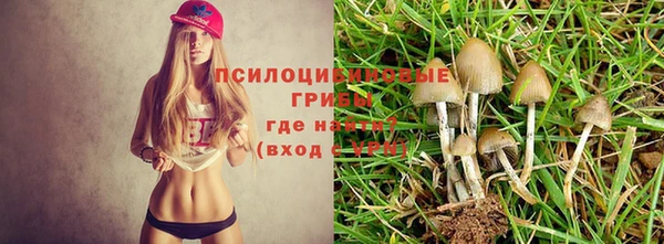 a pvp Богородицк