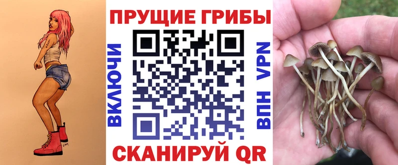 Галлюциногенные грибы Cubensis  мега tor  Кимовск 